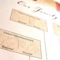 Using The Web To Trace Your Family Tree